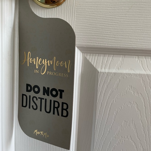 4/$25 Just married/honeymoon in progress door hanger - Picture 4 of 5